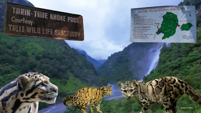 Talley Valley Wildlife Sanctuary