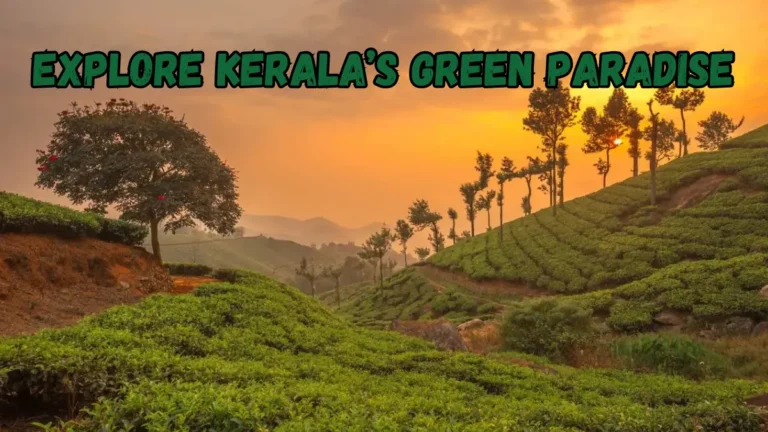 10 Sentences About Munnar
