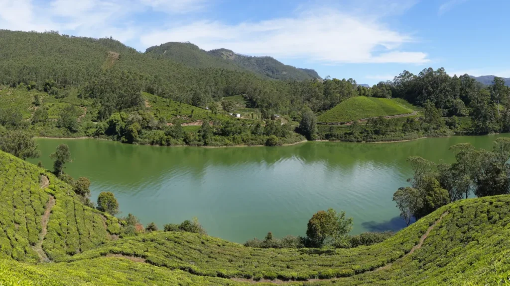 10 Sentences About Munnar