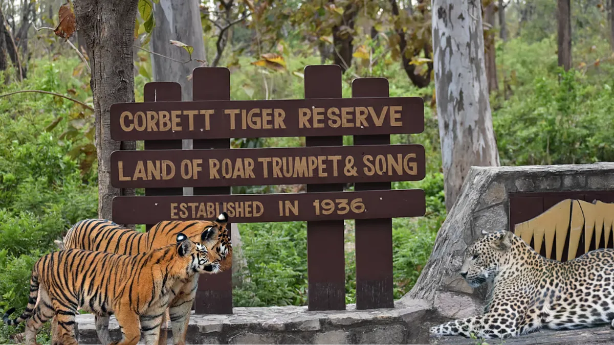 Jim Corbett National Park Ticket Price