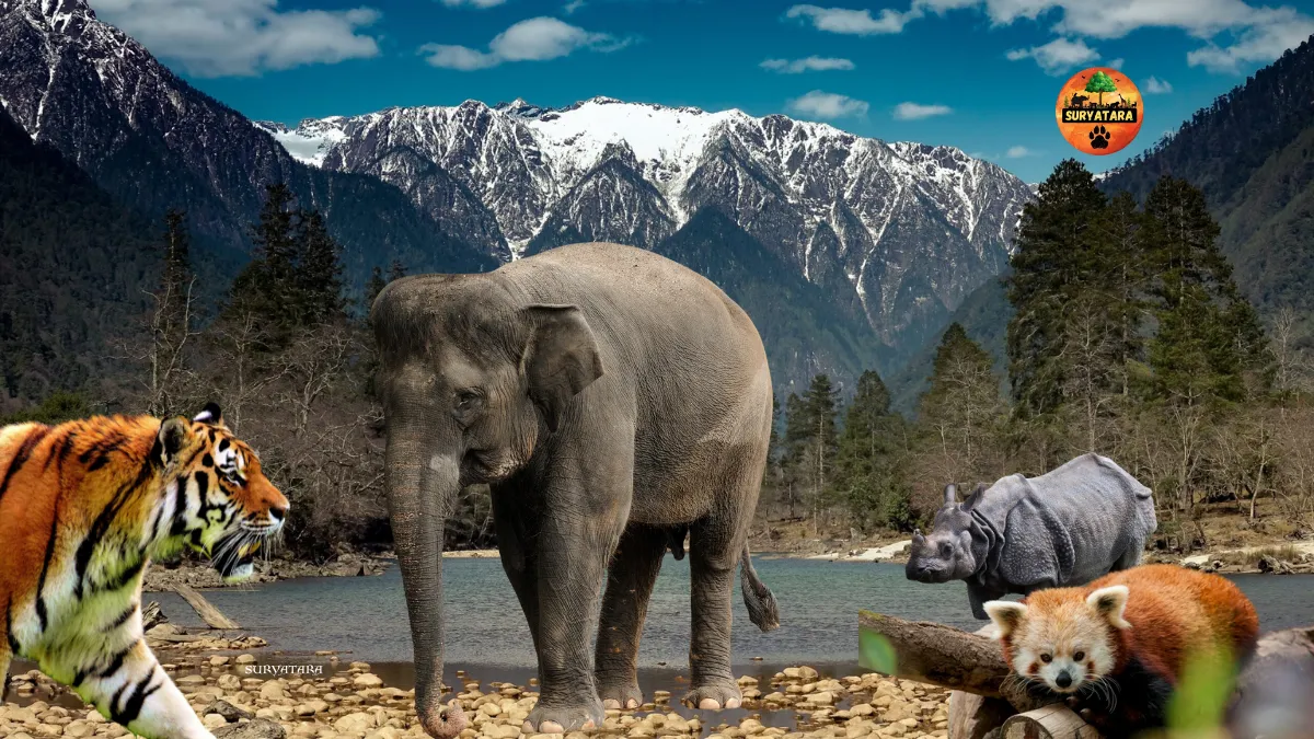 Dibang Wildlife Sanctuary
