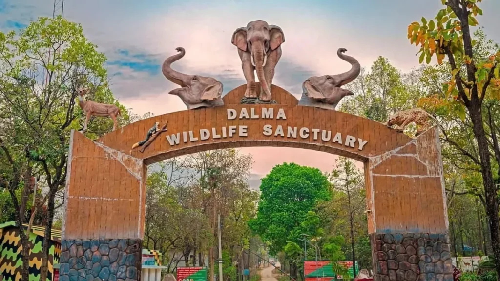 Dalma Wildlife Sanctuary