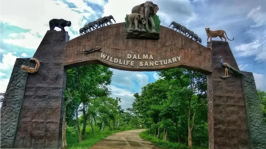 Dalma Wildlife Sanctuary