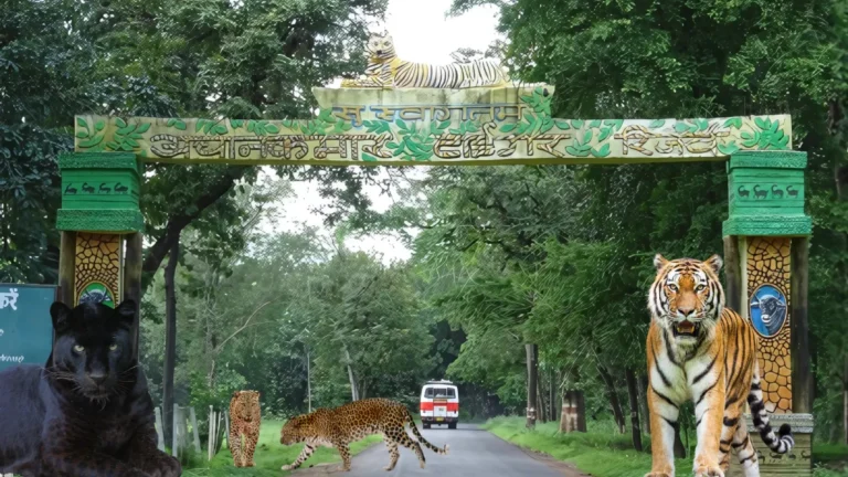 Achanakmar Tiger Reserve