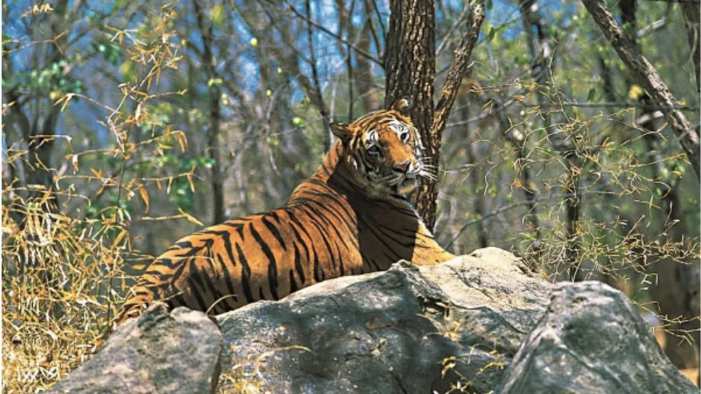 Achanakmar Tiger Reserve
