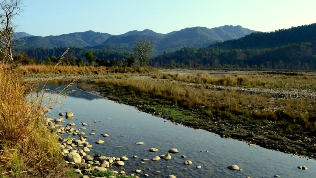 Jim Corbett National Park