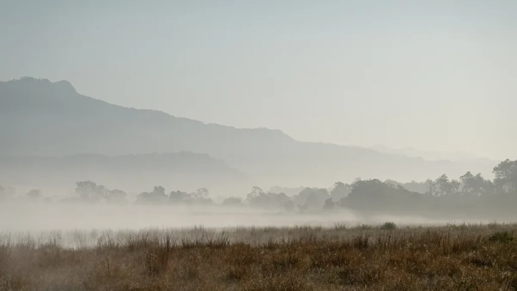 Jim Corbett National Park