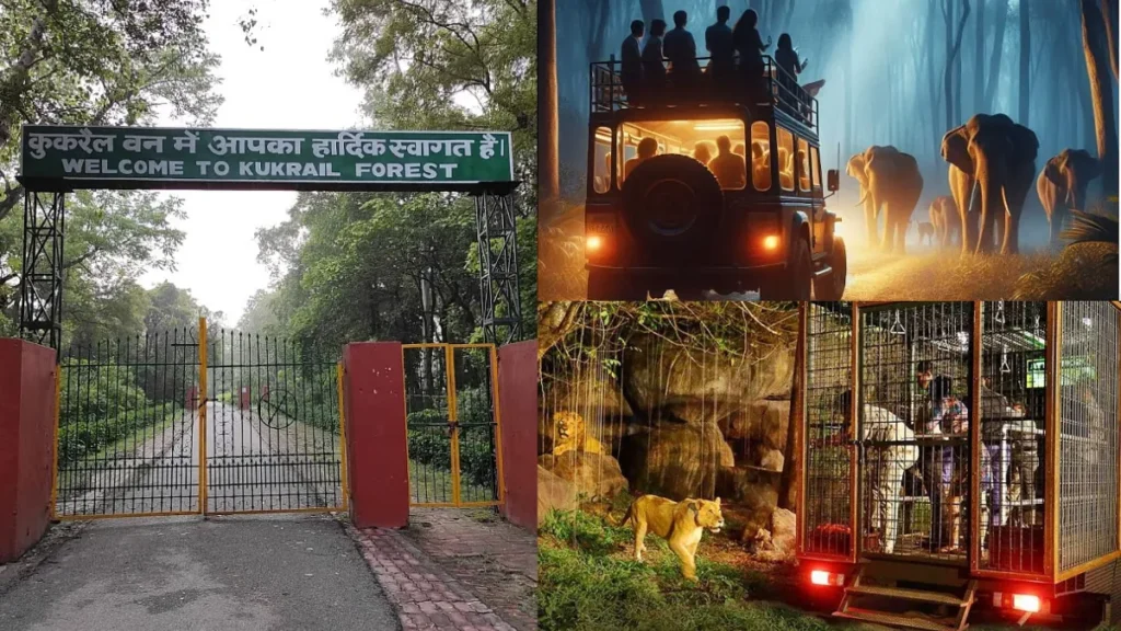 Night Safari Lucknow