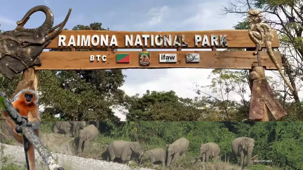 Raimona National Park