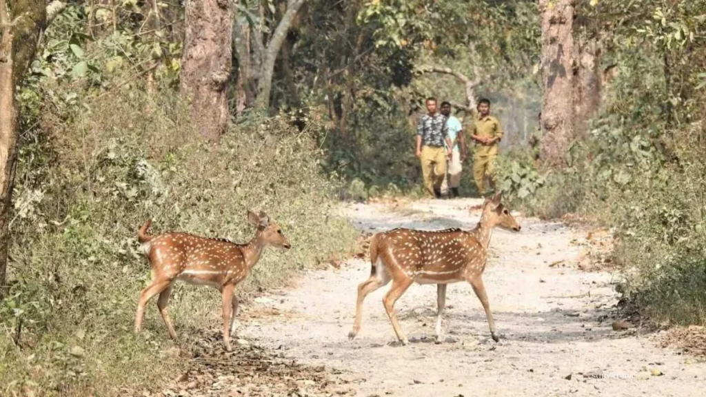 Raimona National Park