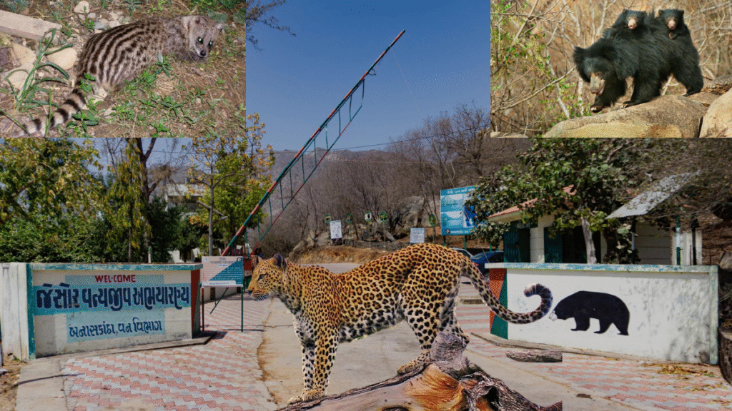 Jessore Sloth Bear Wildlife Sanctuary