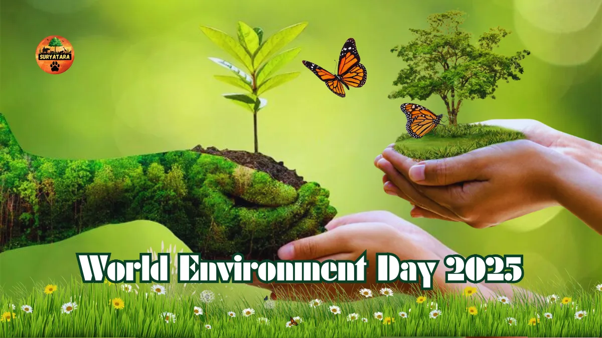 World Environment Day 2025