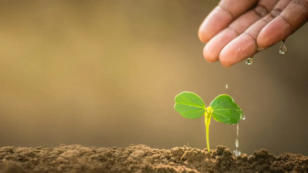 World Environment Day 2025