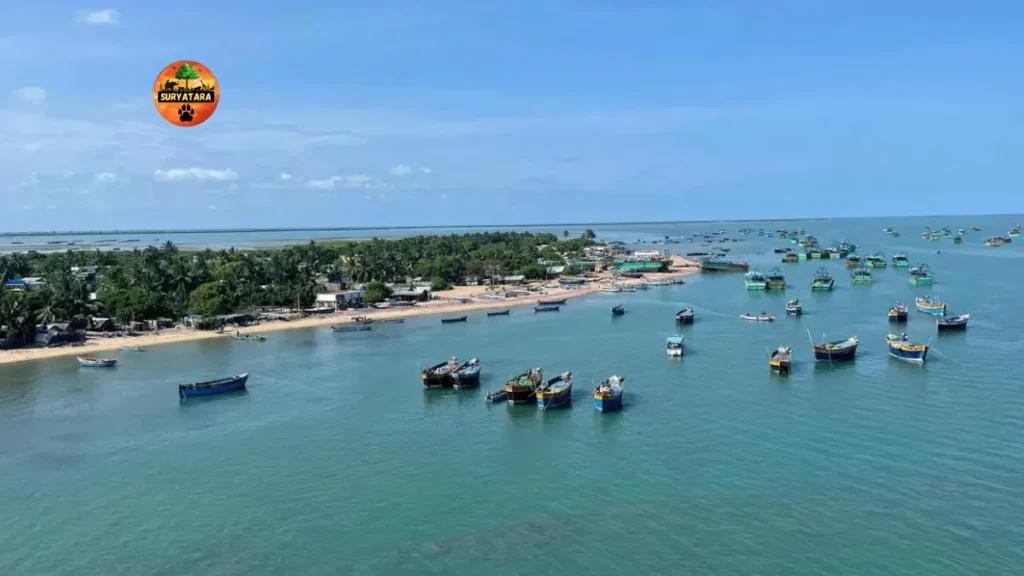 Dhanushkodi Tourist Places