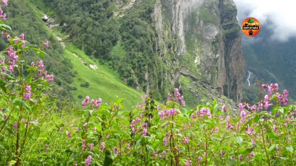 Valley of Flowers Uttarakhand Best Time to Visit