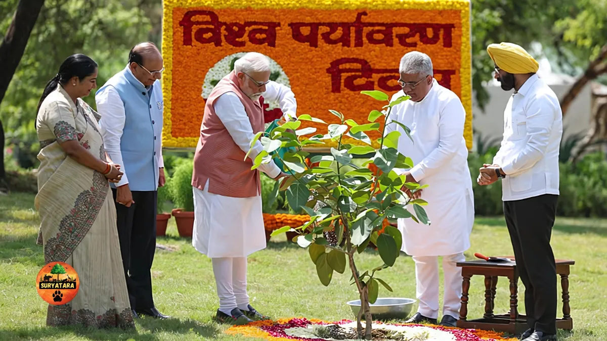 Prime Minister launches Aravali Green Wall Project