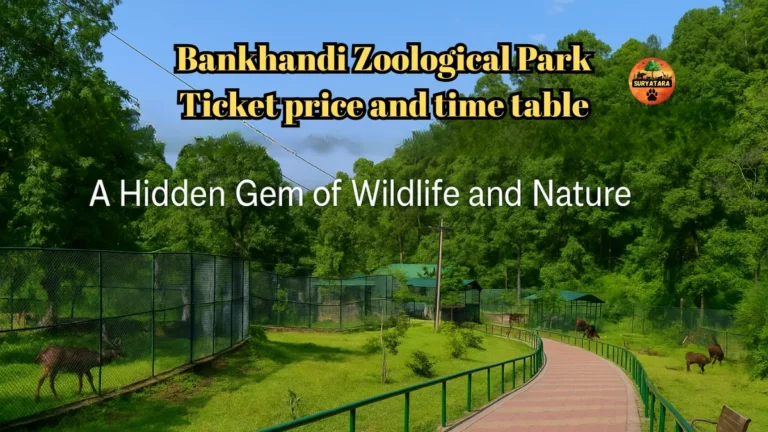 Bankhandi Zoological Park: Ticket price, time table