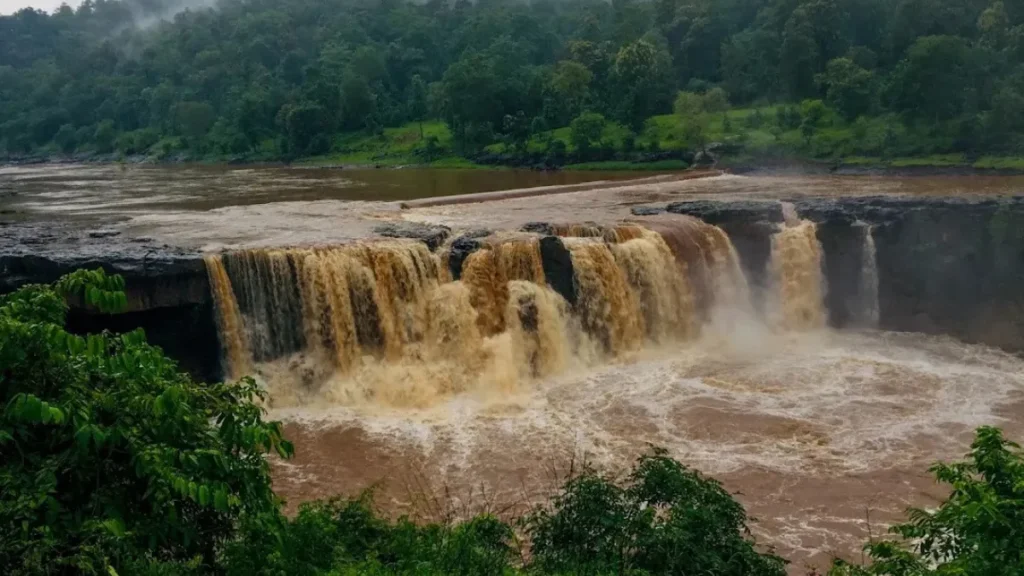 Vansda National Park