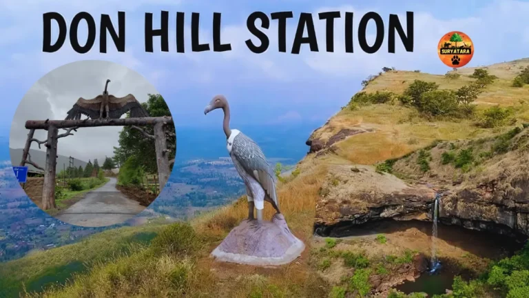 Don Hill Station Gujarat