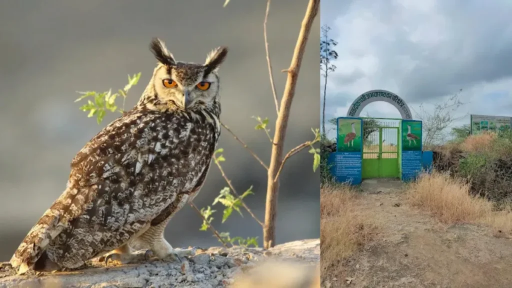 Great Indian Bustard Wildlife Sanctuary