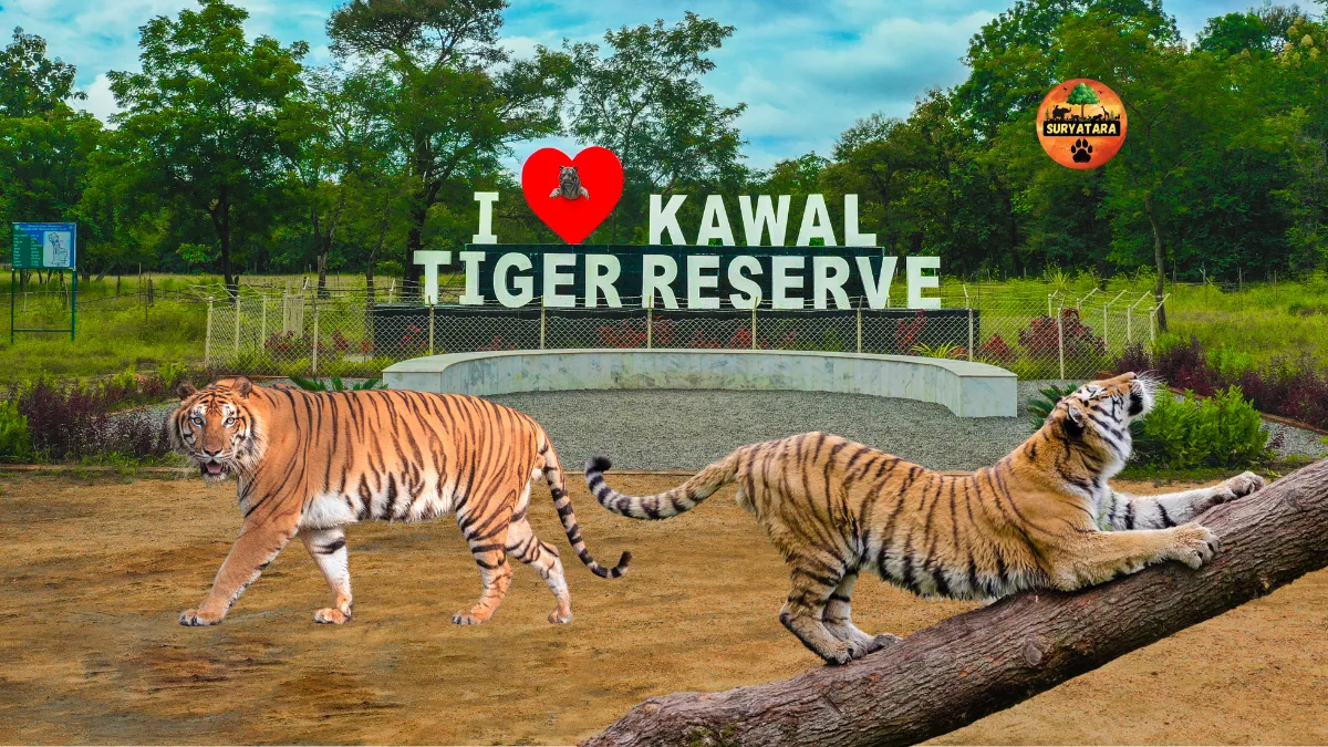 Kawal Tiger Reserve