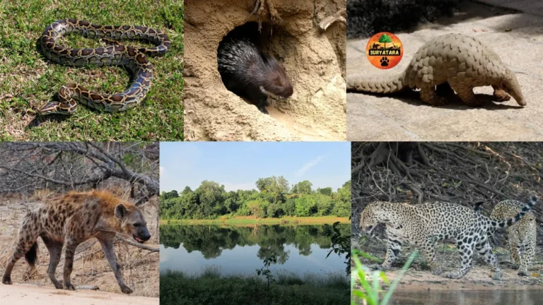 Purna Wildlife Sanctuary