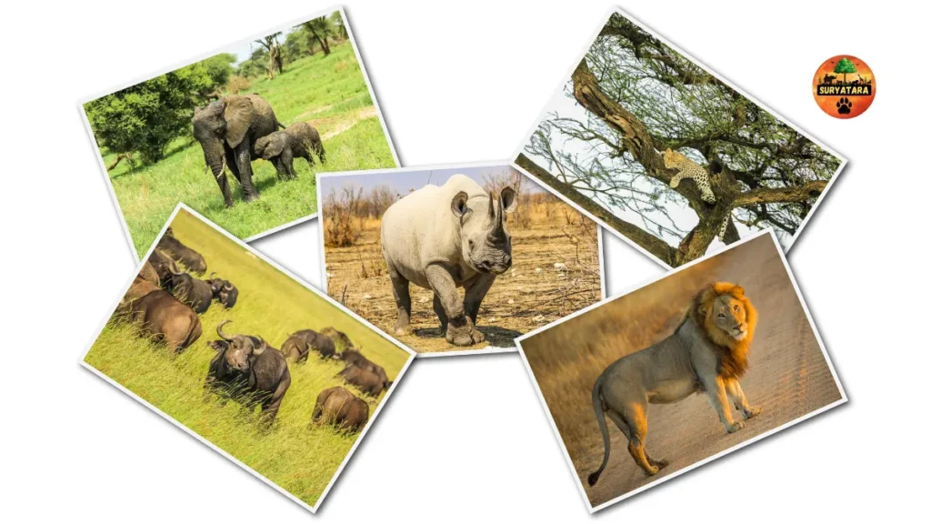 Can We Stay at Vantara Jamnagar