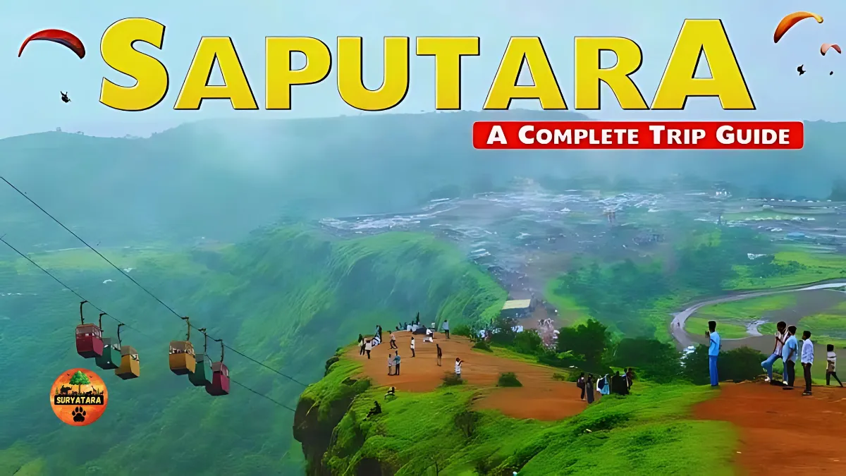 Saputara Tour Package Price