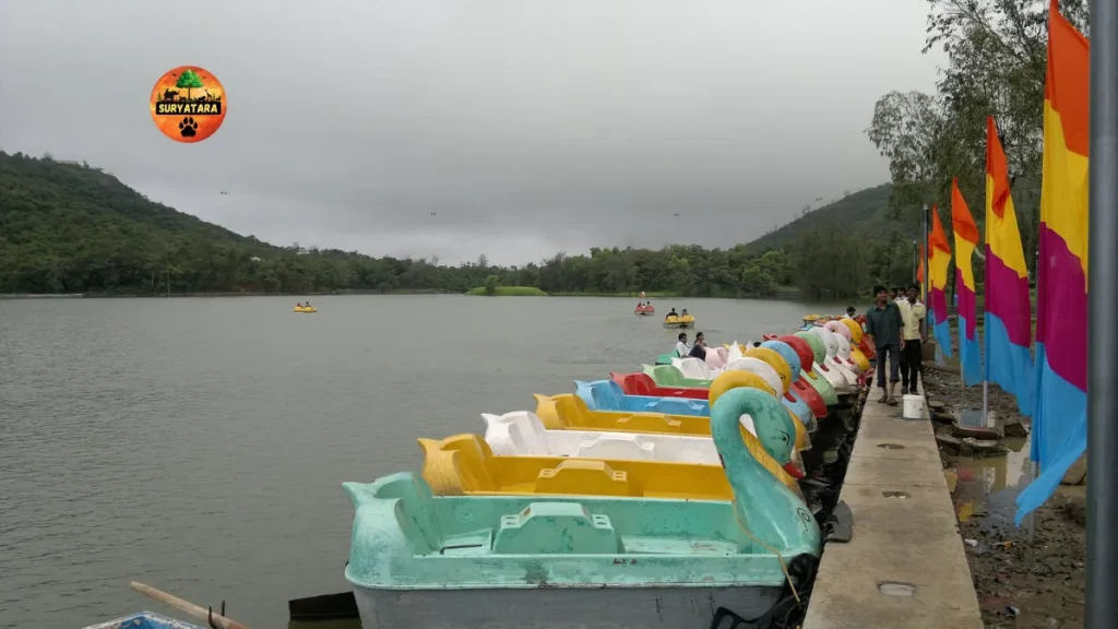 Saputara Adventure Camp