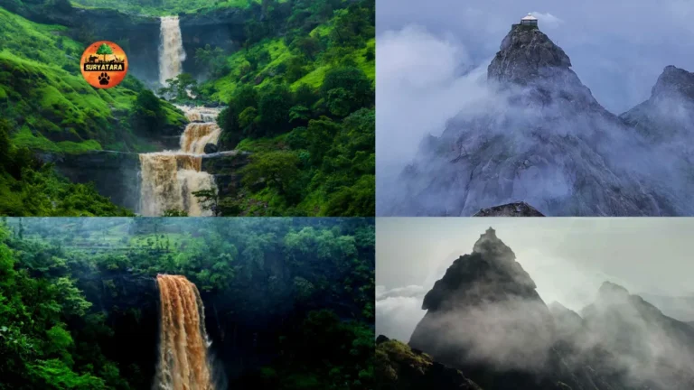 Top Tourist Places to Visit in Gujarat During Monsoon