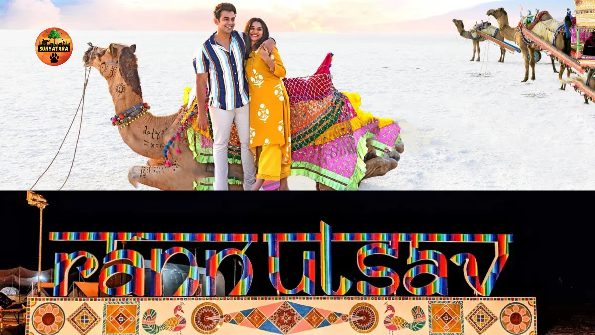 How to Reach Rann Utsav