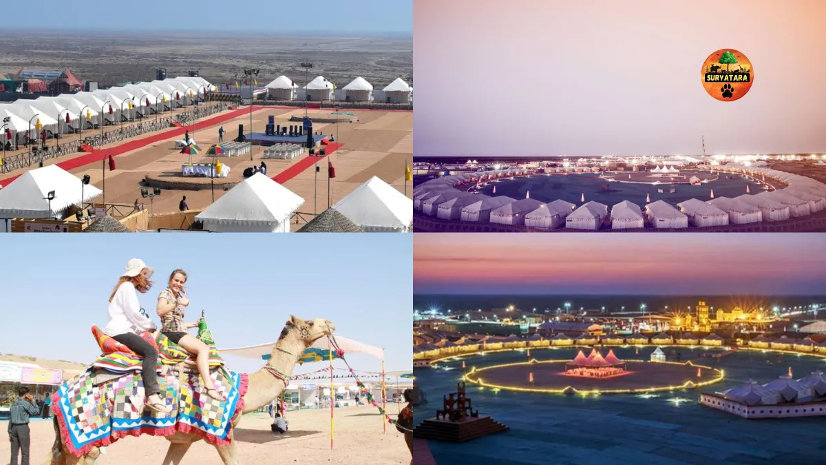 Rann Utsav The Tent City Ticket Price