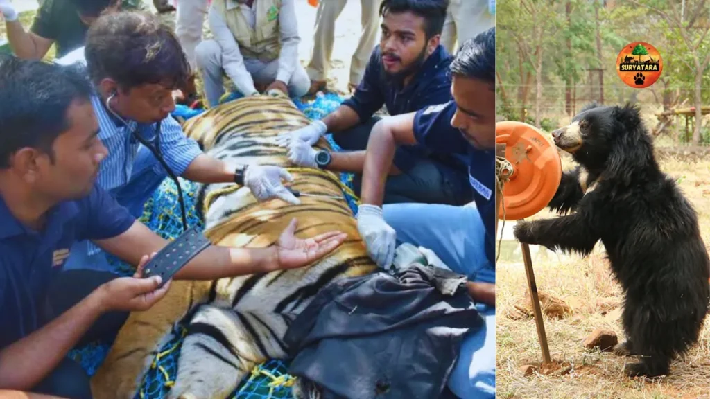 Bhopal Wildlife Rescue Center