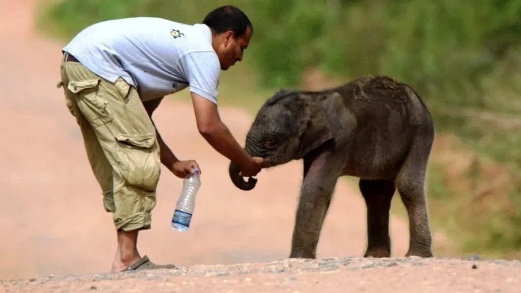 Bhopal Wildlife Rescue Center
