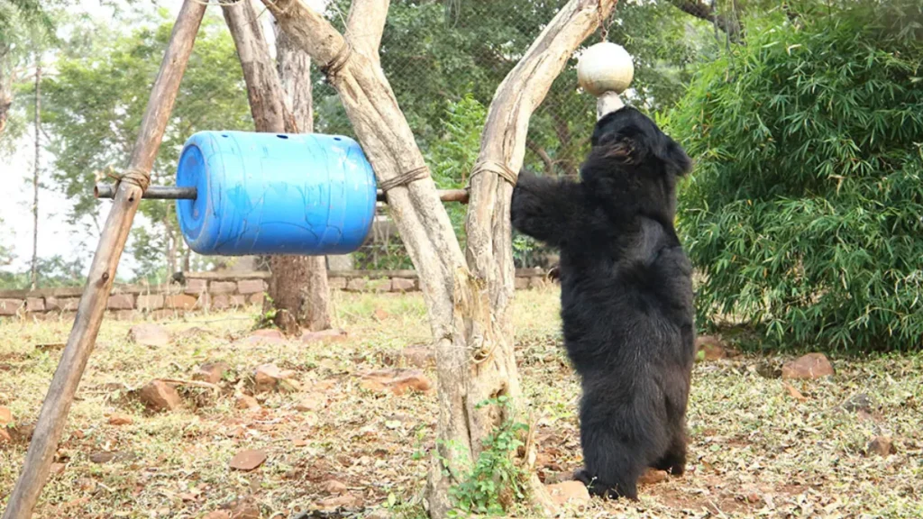 Bhopal Wildlife Rescue Center