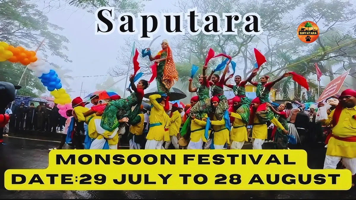 Saputara Monsoon Festival 2025 Tickets Price