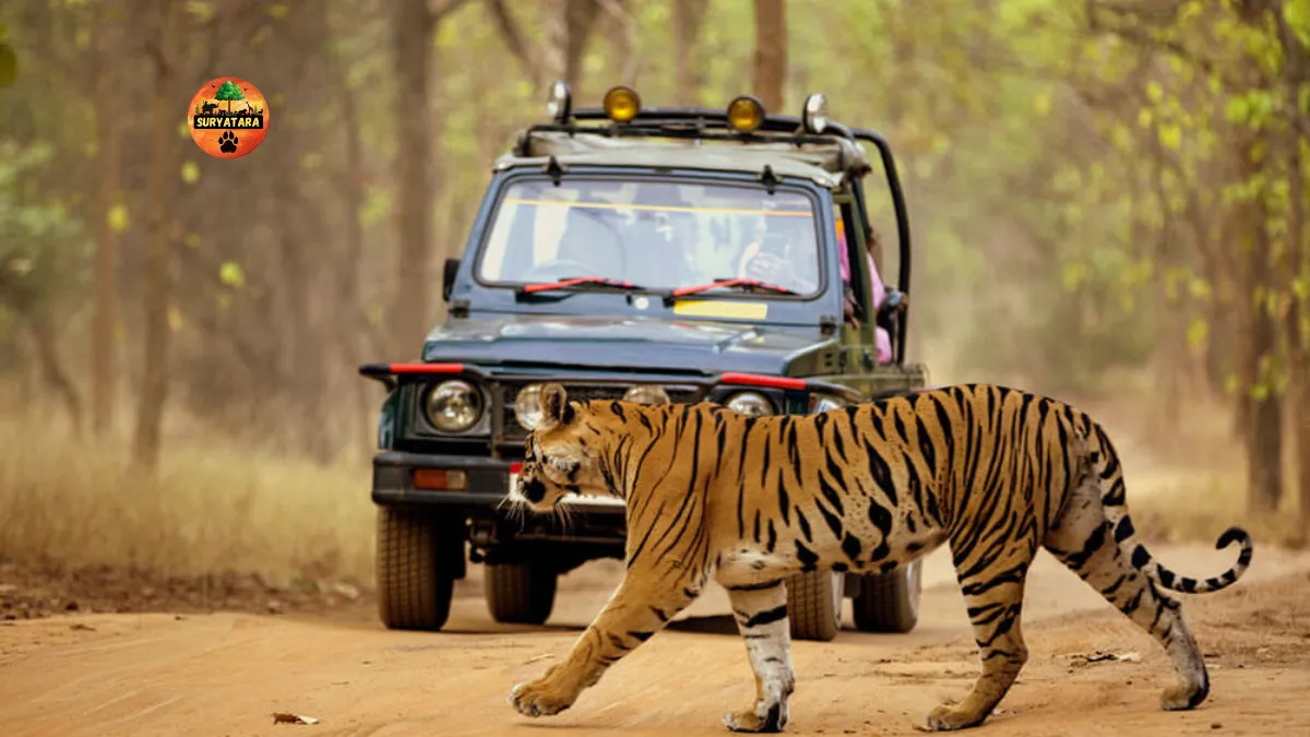 Aravalli Jungle Safari