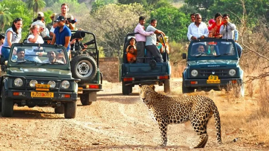 Aravalli Jungle Safari