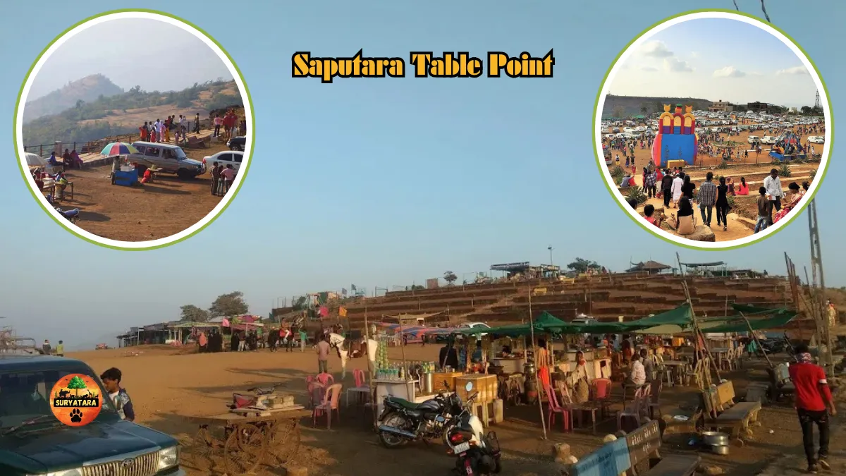 Saputara Table Point