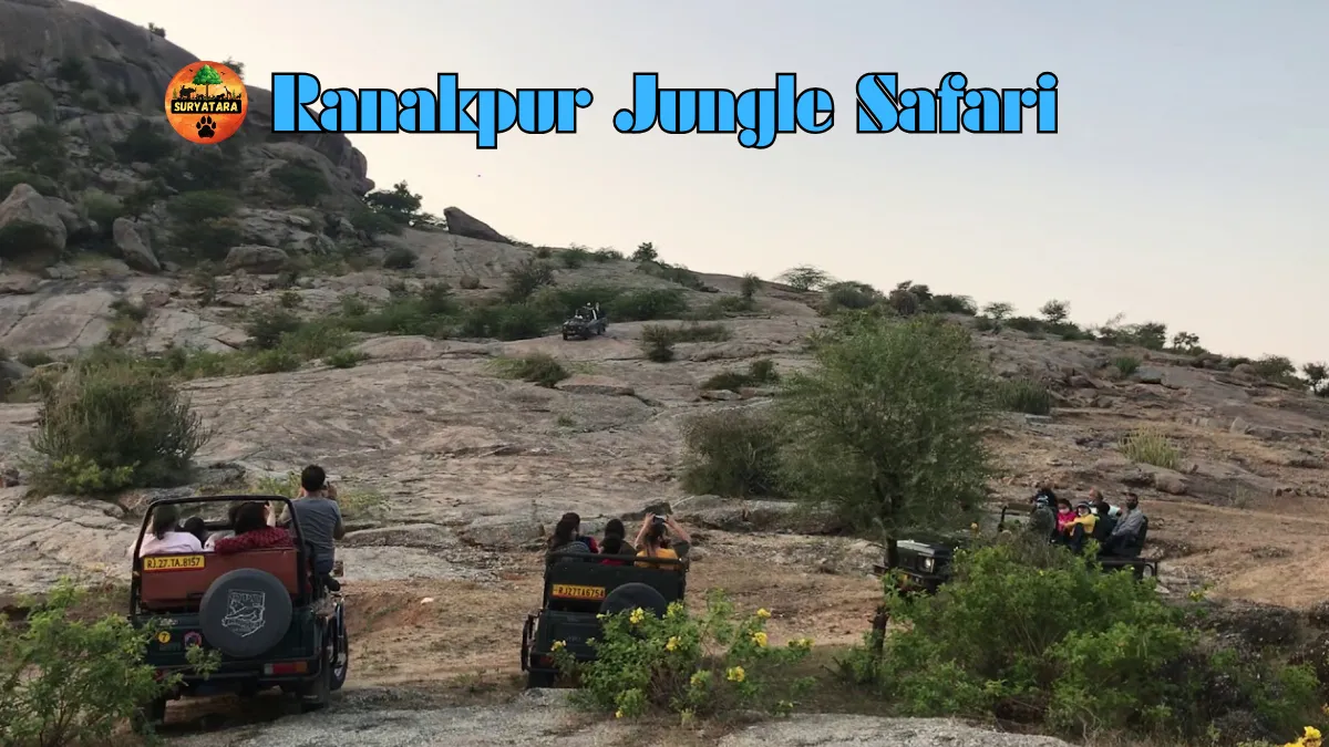 Ranakpur Jungle Safari