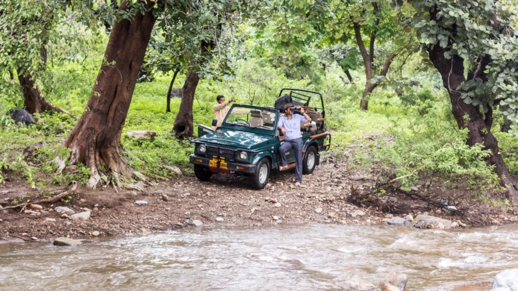 Ranakpur Jungle Safari