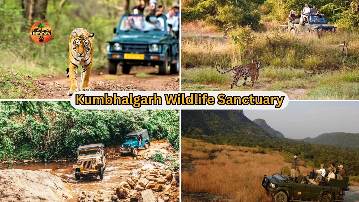 Kumbhalgarh Wildlife Sanctuary