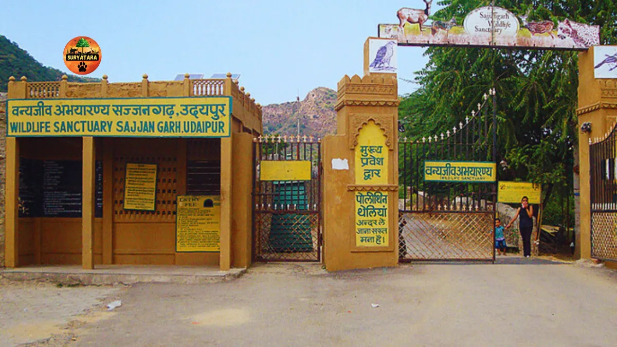 Sajjangarh Wildlife Sanctuary