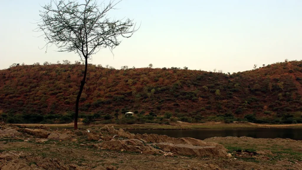 Sajjangarh wildlife sanctuary