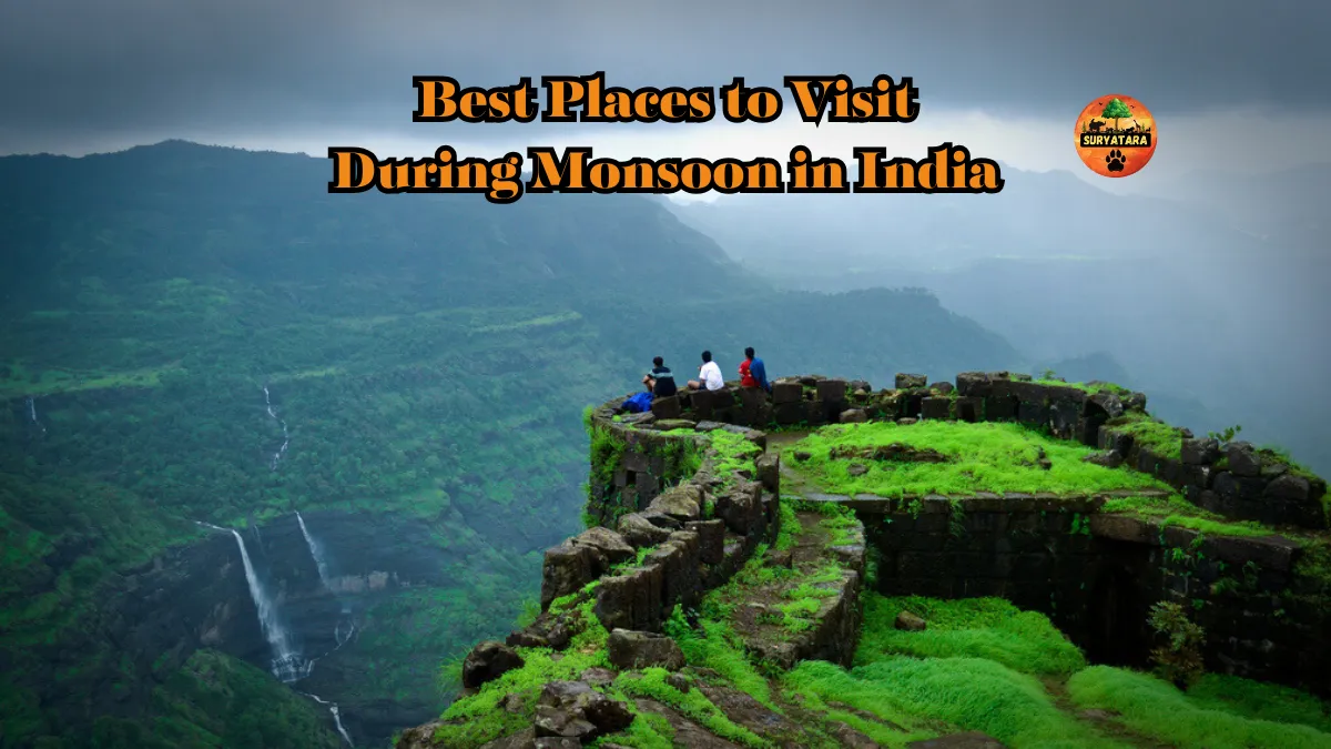 Best Places to Visit During Monsoon in India