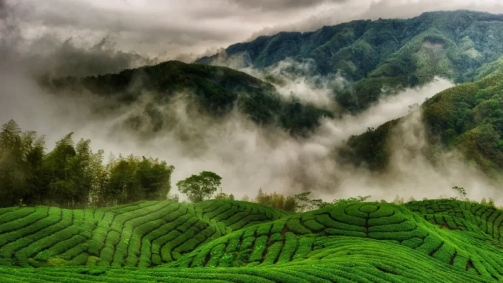 Munnar