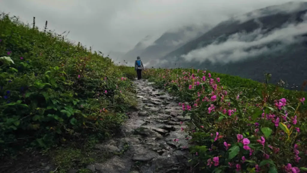 Valley of Flowers