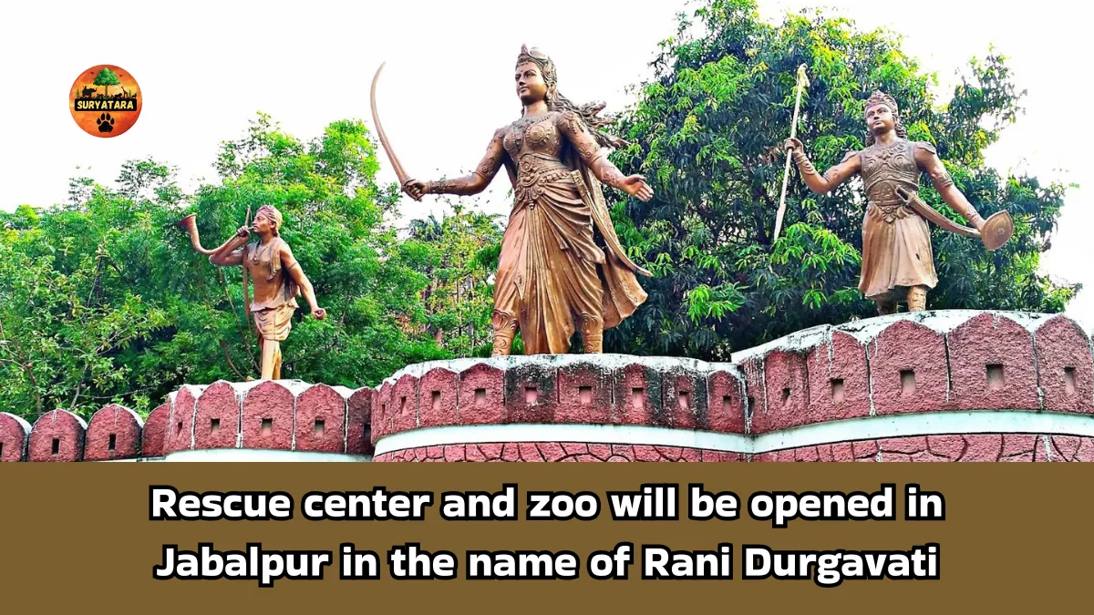 Rani Durgavati Rescue Center