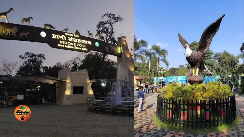 Indore Zoo