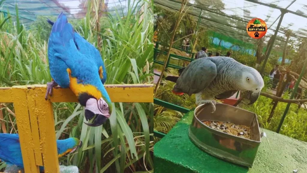 Indore Zoo